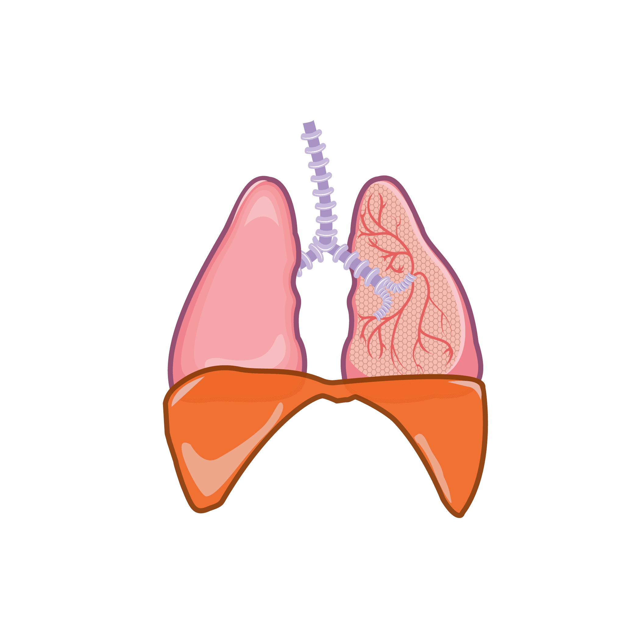 Diaphragmatic Breath